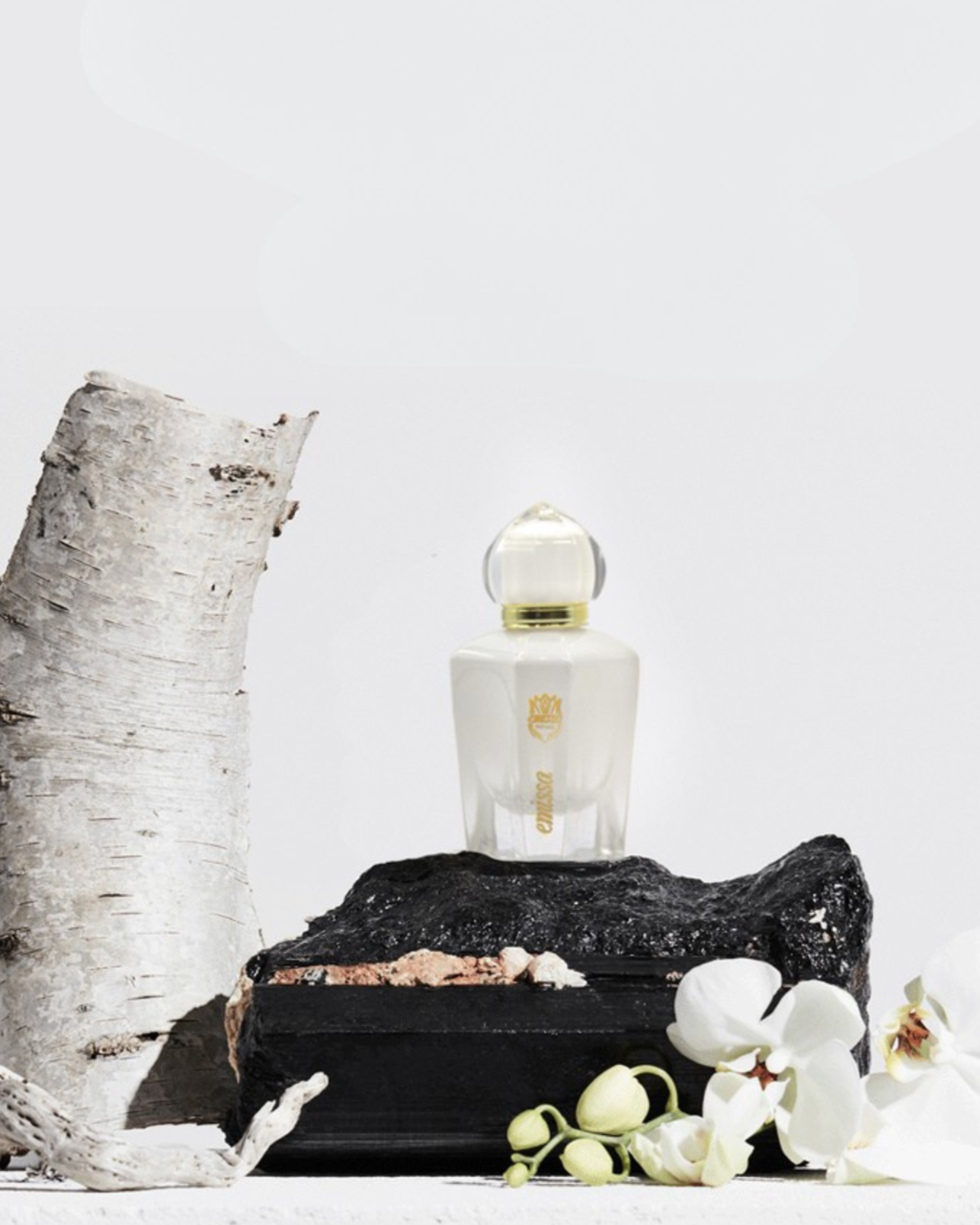 Roberto Cavalli– Emissa